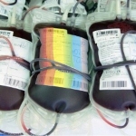 Homossexuais não podem doar sangue!