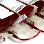 Argentina retira restrições à doação de sangue por homossexuais